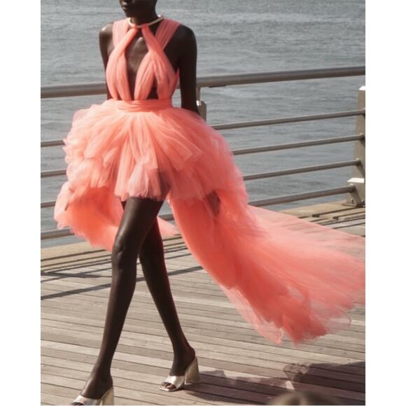 Bronx and Banco Taraji Tiered Ruffle Tulle Sheer Cutout High Low Maxi Gown Sz XS - Picture 3 of 14